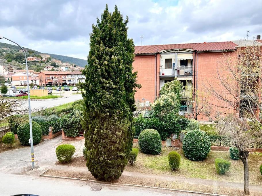 Comfyspot Apartment Rosia Екстериор снимка